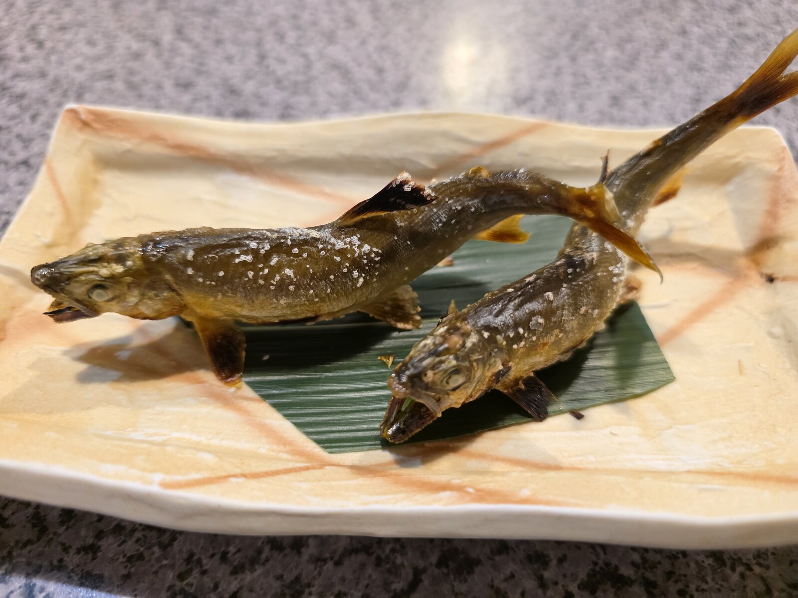 魚安で提供された天然鮎と養殖鮎の塩焼き
