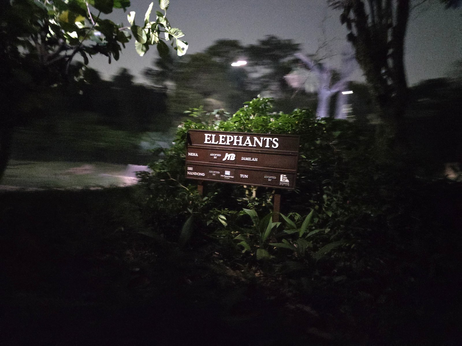 ELEPHANTSの案内板